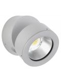 Wall Spotlight 2389